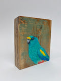 56. Mulga Parrot