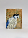 40. Northern Rosella