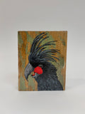 2. Palm Cockatoo