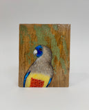 20. Blue Bonnet