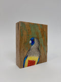 20. Blue Bonnet