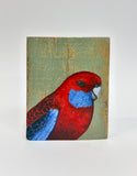46. Crimson Rosella