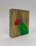 55. Red Cheeked Parrot