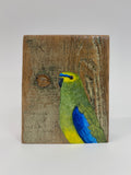 4. Blue Winged Parrot