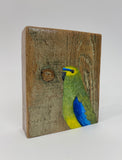 4. Blue Winged Parrot