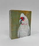 28. Long Billed Corella