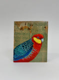 25. Western Rosella