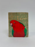 15. King Parrot
