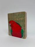 15. King Parrot