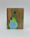 13. Purple Crowned Lorikeet