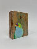 13. Purple Crowned Lorikeet