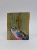 39. Bourkes Parrot