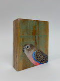 39. Bourkes Parrot