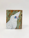 49. Little Corella