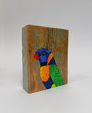 36. Red Collard Lorikeet