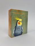 31. Cockatiel