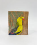 57. Regent Parrot