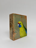 52. Green Rosella