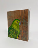 47. Ground Parrot