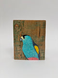 8. Golden Shouldered Parrot