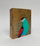 35. Paradise Parrot