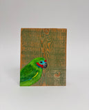 34. Double Eyed Fig Parrot