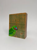 34. Double Eyed Fig Parrot