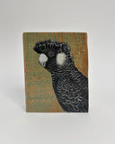 22. Carnaby's Black Cockatoo