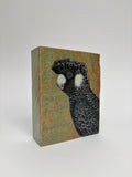22. Carnaby's Black Cockatoo