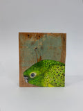 23. Night Parrot