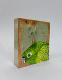23. Night Parrot