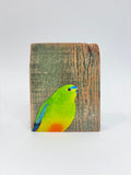 1. Orange Bellied Parrot