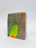 1. Orange Bellied Parrot