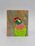 33. Varied Lorikeet