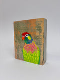 33. Varied Lorikeet