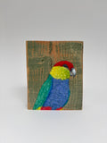 17. Red Capped Parrot