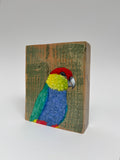17. Red Capped Parrot
