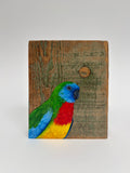 32. Scarlet Chested Parrot