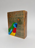 32. Scarlet Chested Parrot