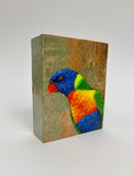 26. Rainbow Lorikeet