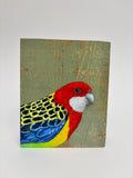 12. Eastern Rosella