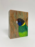 30. Australian Ringneck