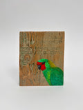 19. Little Lorikeet