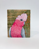 44. Galah