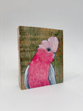 44. Galah