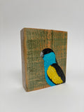 50. Hooded Parrot