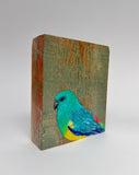 51. Red Rumped Parrot