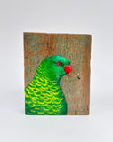 6. Scaly Breasted Lorikeet