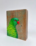 6. Scaly Breasted Lorikeet