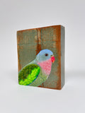 24. Princess Parrot